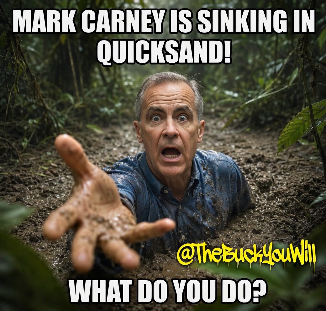 The Buck You Will tweet media