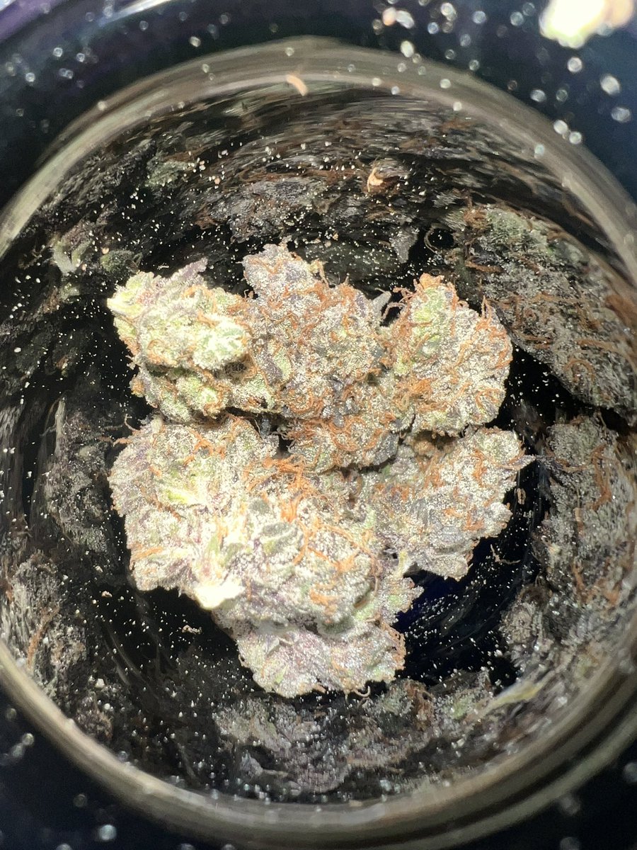 Beechiez's tweet photo. 🌈⛹🏿‍♂️💨 @EntropyFarms https://t.co/CfKDQt63lh