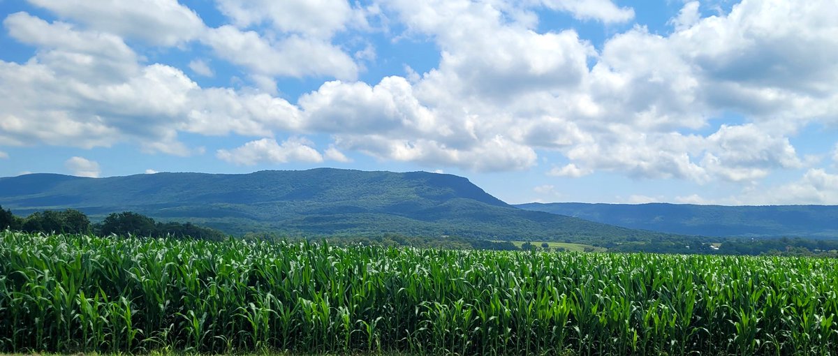 Oh, Shenandoah tweet media