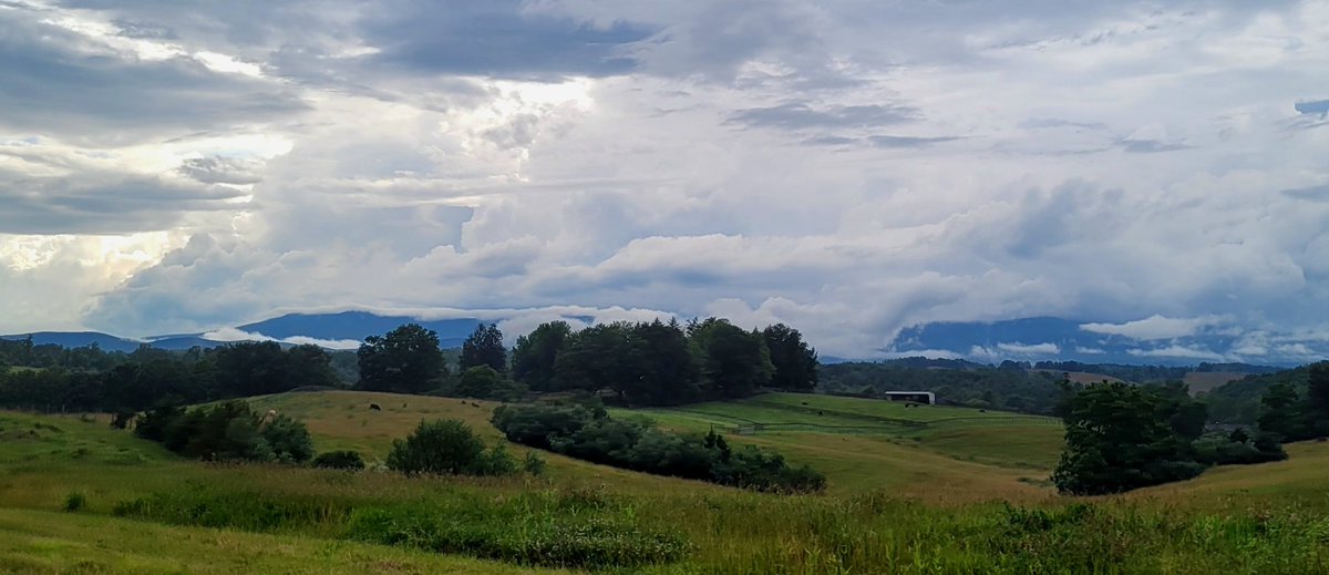 Oh, Shenandoah tweet media