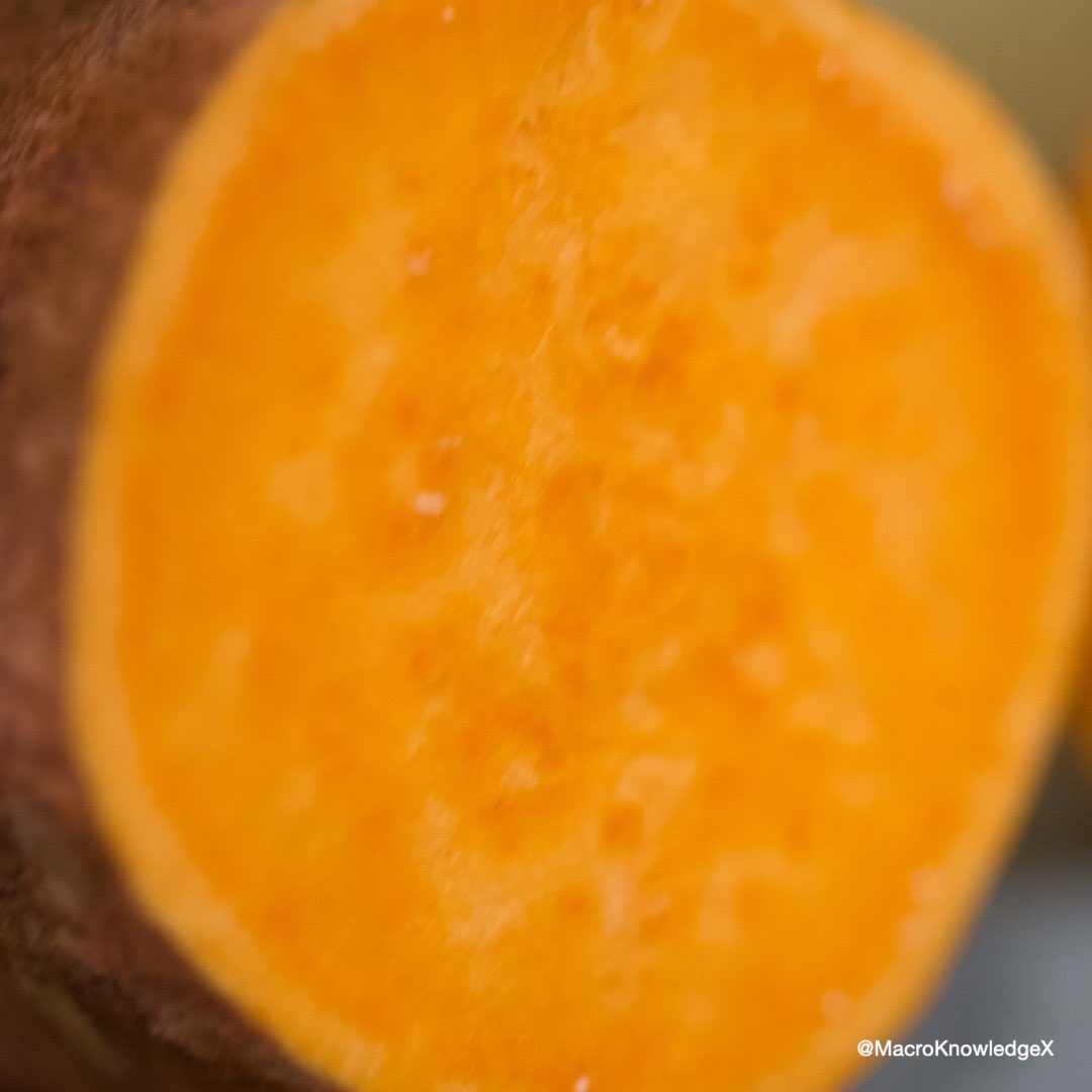 MacroKnowledgeX's tweet photo. THE BIGGEST LIE STILL DESTROYING PHYSIQUES IN 2026.

White potatoes.

They spike you harder than soda, bloat your gut, tank your energy, crush your hormones, and keep you stuck looking “mid” no matter how hard you train.

The top 1% guys I’ve met?

They ditched them years ago and went all-in on sweet potatoes.

Their abs, energy, and recovery went nuclear.

Here’s the non-negotiable upgrade:

• Beta-carotene → pure Vitamin A rocket fuel for unbreakable skin, sky-high testosterone & ironclad immunity

• 4g+ fiber → hunger destroyed, blood sugar bulletproof, zero 3pm zombie mode

• More potassium than bananas → cortisol obliterated, veins popping, heart & pumps on god mode

• Elite antioxidants (purple ones hit different) → inflammation obliterated, faster recovery from brutal training

• Slow-burn clean energy → fuels 2-hour lifts + 4-hour deep work sessions without the crash

White potatoes = toxic sugar wearing a fake-health jacket.

Sweet potatoes = the performance carb the elite don’t talk about.

Roast ‘em, air-fry ‘em, mash with cinnamon.

Simple.

Make the switch this week and watch your waist shrink, T-levels climb, and focus sharpen.

Who else is done with white potatoes forever?

Drop 🍠🔥 if you’re making the move.