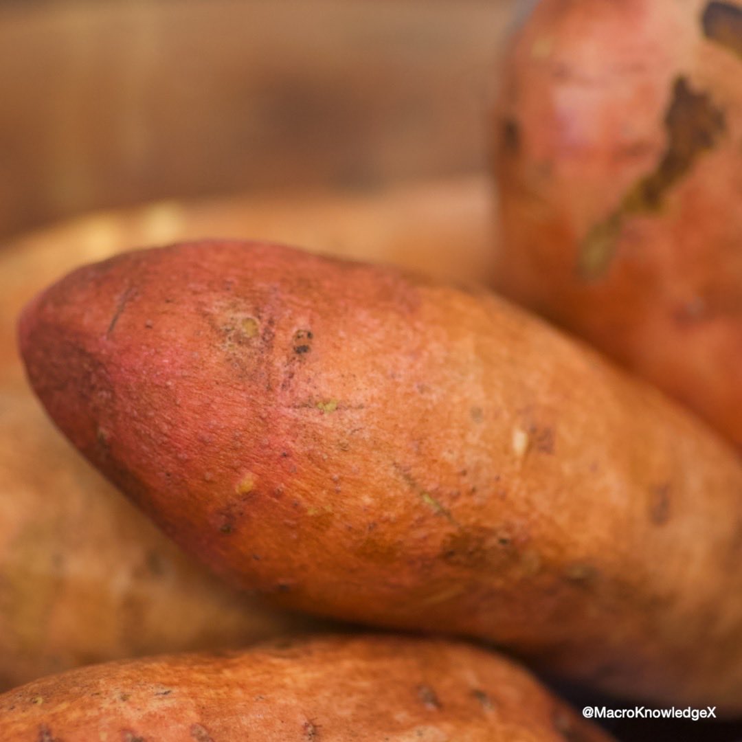 MacroKnowledgeX's tweet photo. THE BIGGEST LIE STILL DESTROYING PHYSIQUES IN 2026.

White potatoes.

They spike you harder than soda, bloat your gut, tank your energy, crush your hormones, and keep you stuck looking “mid” no matter how hard you train.

The top 1% guys I’ve met?

They ditched them years ago and went all-in on sweet potatoes.

Their abs, energy, and recovery went nuclear.

Here’s the non-negotiable upgrade:

• Beta-carotene → pure Vitamin A rocket fuel for unbreakable skin, sky-high testosterone & ironclad immunity

• 4g+ fiber → hunger destroyed, blood sugar bulletproof, zero 3pm zombie mode

• More potassium than bananas → cortisol obliterated, veins popping, heart & pumps on god mode

• Elite antioxidants (purple ones hit different) → inflammation obliterated, faster recovery from brutal training

• Slow-burn clean energy → fuels 2-hour lifts + 4-hour deep work sessions without the crash

White potatoes = toxic sugar wearing a fake-health jacket.

Sweet potatoes = the performance carb the elite don’t talk about.

Roast ‘em, air-fry ‘em, mash with cinnamon.

Simple.

Make the switch this week and watch your waist shrink, T-levels climb, and focus sharpen.

Who else is done with white potatoes forever?

Drop 🍠🔥 if you’re making the move.