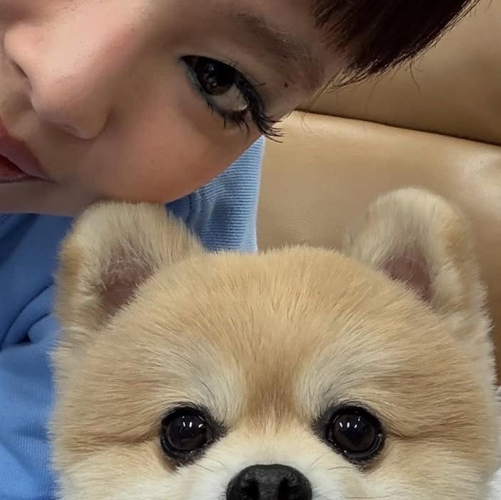 saiIoruby's tweet photo. a cat and a dog https://t.co/eWPFPQ9gPD