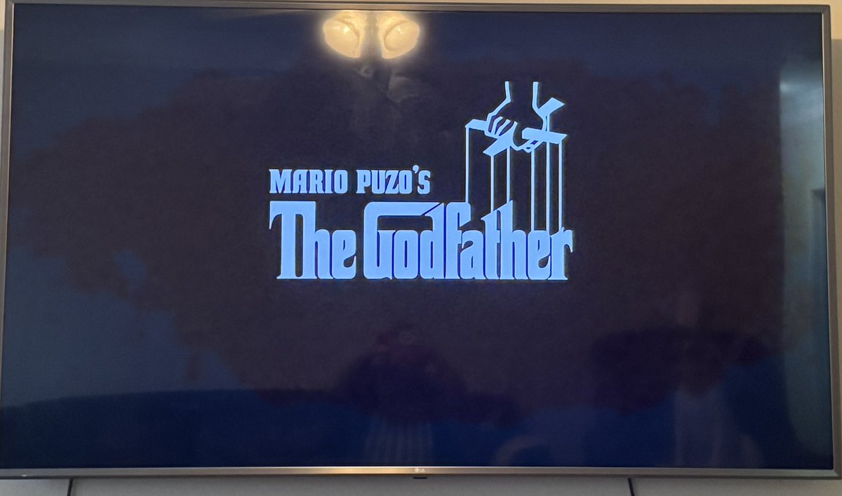 cigarboxboy's tweet photo. Making sauce and watching Godfather. How’s your Saturday going? https://t.co/mbVv1kgkJw