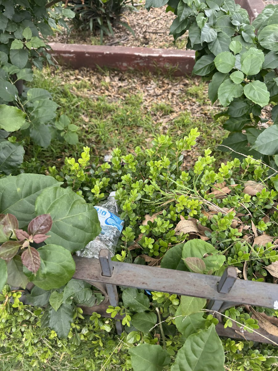 copaco_san's tweet photo. La Plaza Leandro Valle, frente al San Angel Inn, está hecha un chiquero: basura, áreas verdes abandonadas y suciedad. Estamos en el corazón de San Ángel. ¿De verdad la @alcaldiaAO no puede mantener limpia una de las plazas más emblemáticas de la zona? @LopezCasarinJ https://t.co/DBoMBXlUeh