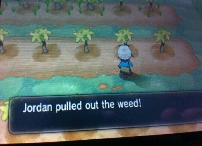 OoCPokemon's tweet photo. https://t.co/8nKrGvqsTD