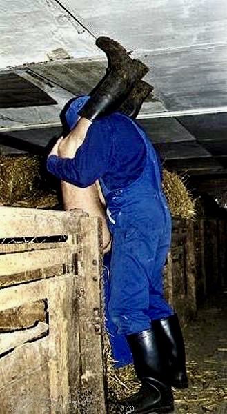 Tri_e_ste's tweet photo. …net! Stall’ gym 🐽 https://t.co/D1dLljbt2K