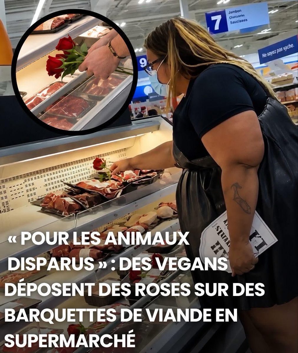 - Le Direct Info 🔴 tweet media