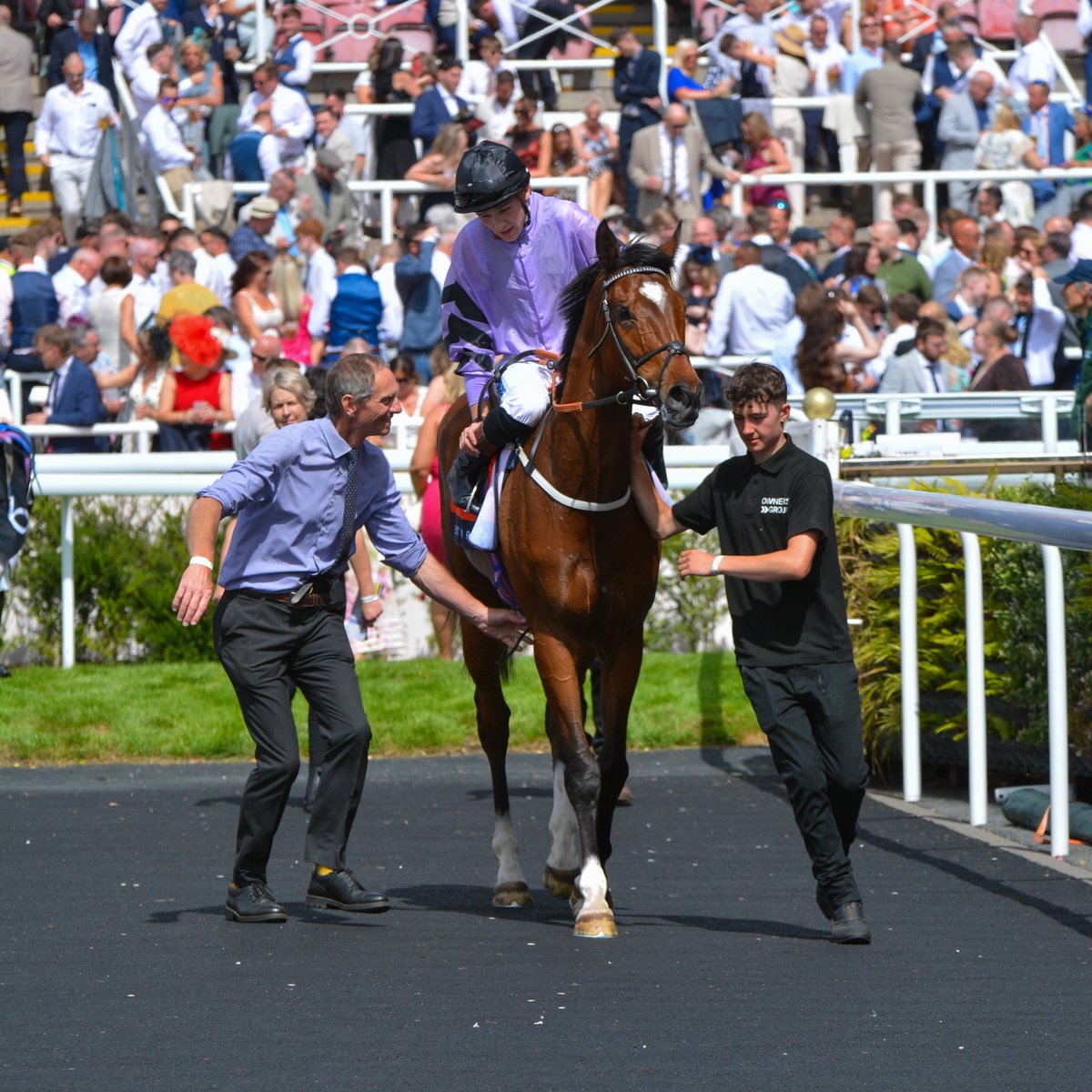ownersgroupuk's tweet photo. Many congratulations to the owners of Believitanducan who won his second race of the season today. He landed the stayers’ handicap at Chester in fine style under Billy Loughnane for trainer Alan King. Many thanks to devoted groom Sam, and Mark for taking him. https://t.co/qPUFTSAxWq