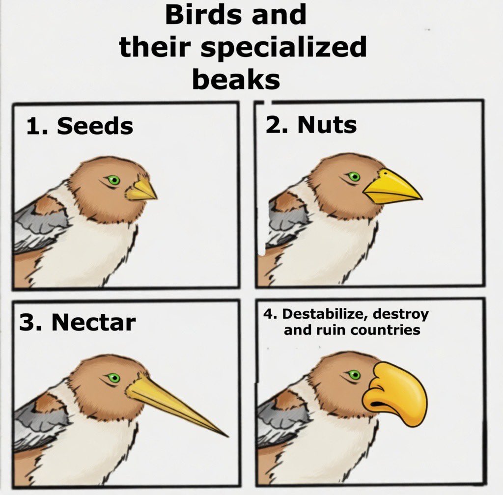 The Redeemed tweet media