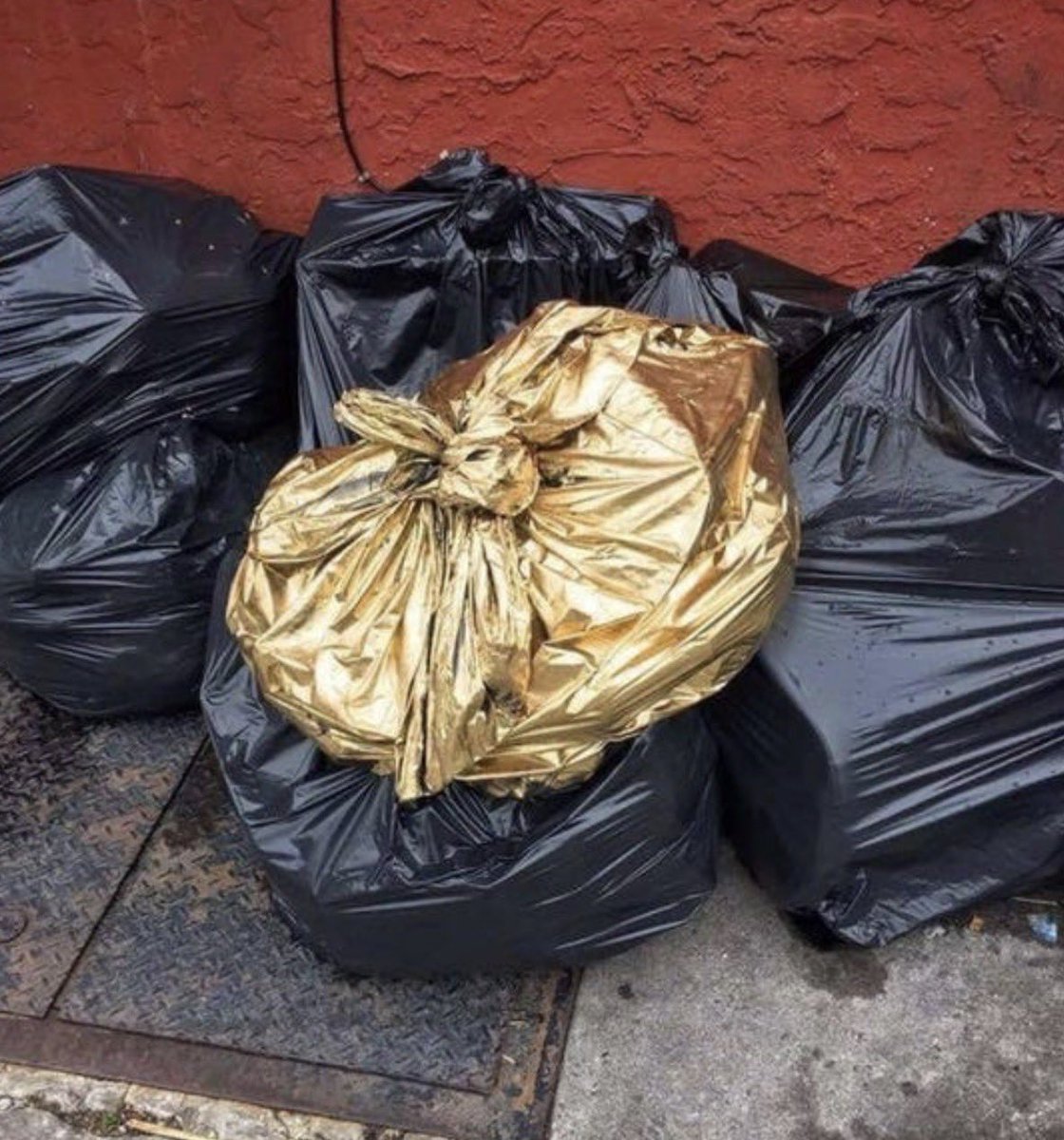 Garbage_Sol's tweet photo. garbage full of gold https://t.co/vRq6hbwKq0