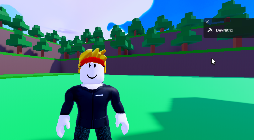 Nitrix2206's tweet photo. Hey guys! do you have any decor ideas for making my game look better? 🤔 https://t.co/BEyXqOKXLr