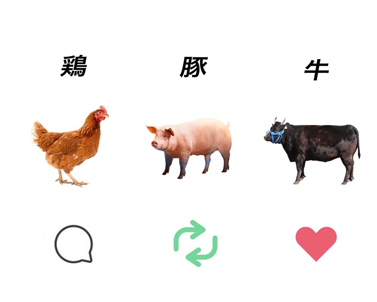 💭しろ💭⑅🎀🐾 tweet media