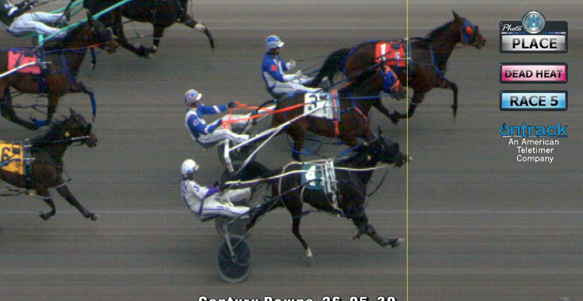 Century Downs tweet media