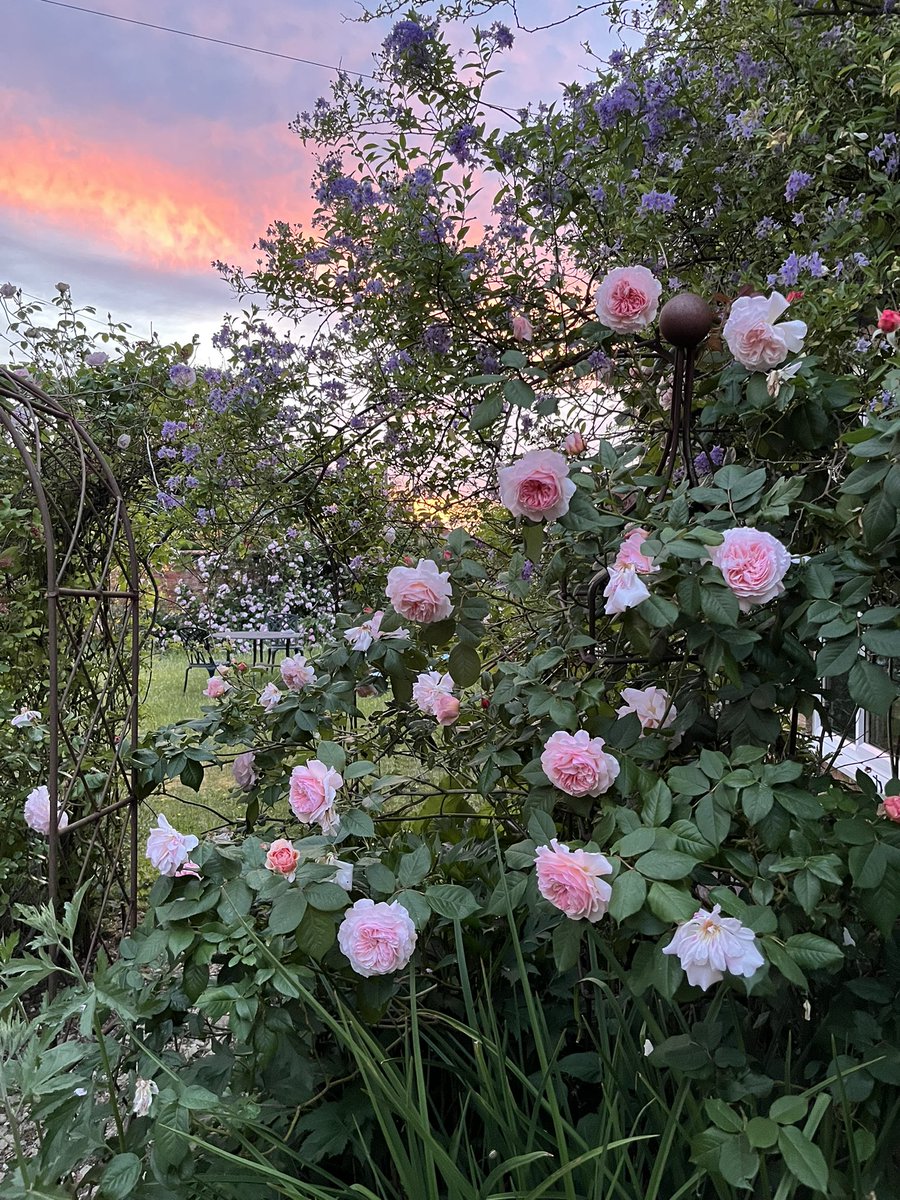 FrGary1's tweet photo. Dusk in North Buckinghamshire this evening. https://t.co/1w8DpMCSex