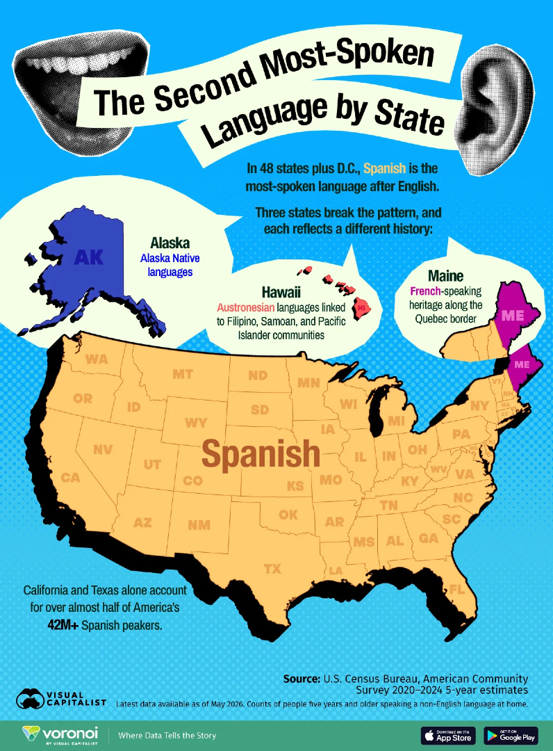 Visual Capitalist tweet media