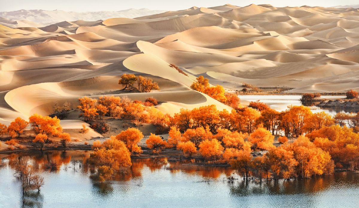 aseelswaid9's tweet photo. The desert of China https://t.co/5Xlhjtak7k