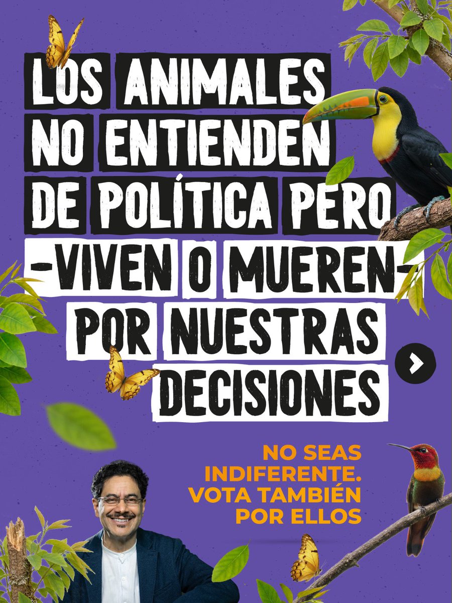 Esmeralda Hernández tweet media
