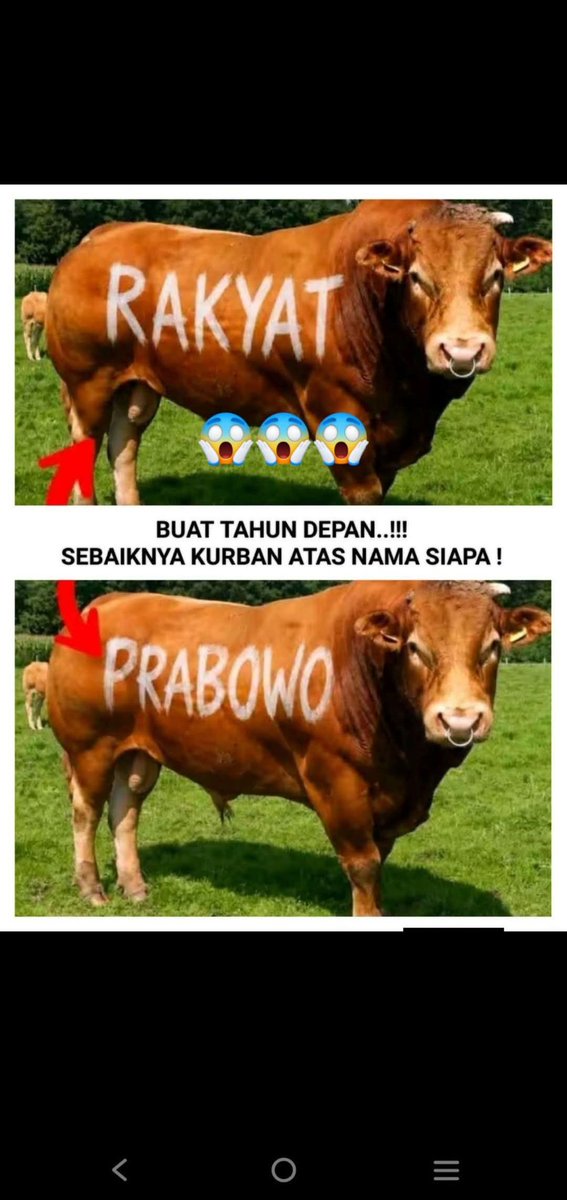 #MerahPutih tweet media