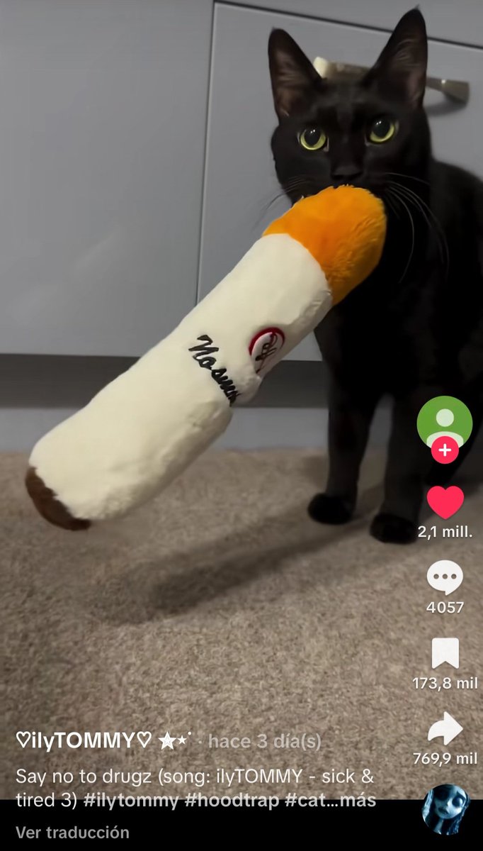AAmy2100982's tweet photo. "The #BACKSLIDE Craig cat doesn't exist!"
The BACKSLIDE Craig cat: https://t.co/4vyoEL3jXi