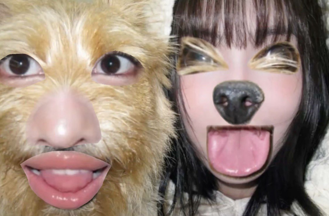 nanaxmomo9's tweet photo. momo and boo if they switched features https://t.co/ow0JjXsgcU
