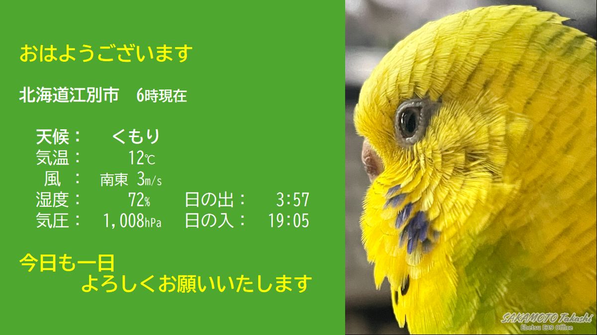 坂本孝志|四柱推命と暦の専門家 tweet media