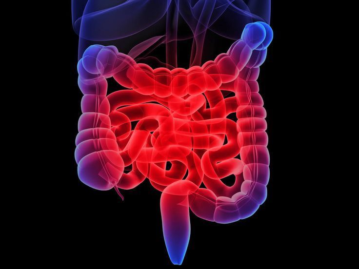 Mente_Sabiaa's tweet photo. Un neurólogo afirmó:

“Sacar la lengua durante 40 segundos puede activar mecanismos de relajación y reducir el cortisol más rápido de lo que imaginas.”

Las grandes farmacéuticas estan en pánico 🧵 : https://t.co/bgVJ0F5ZWN