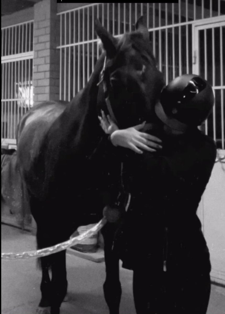 Rahaf__R7's tweet photo. محبين الخيل تغريده مخصصه لكم هاتوا اي شي متعلق بالخيل هنا تحت هالتغريده 🐎👇🏻 https://t.co/ojbJtbY2KU
