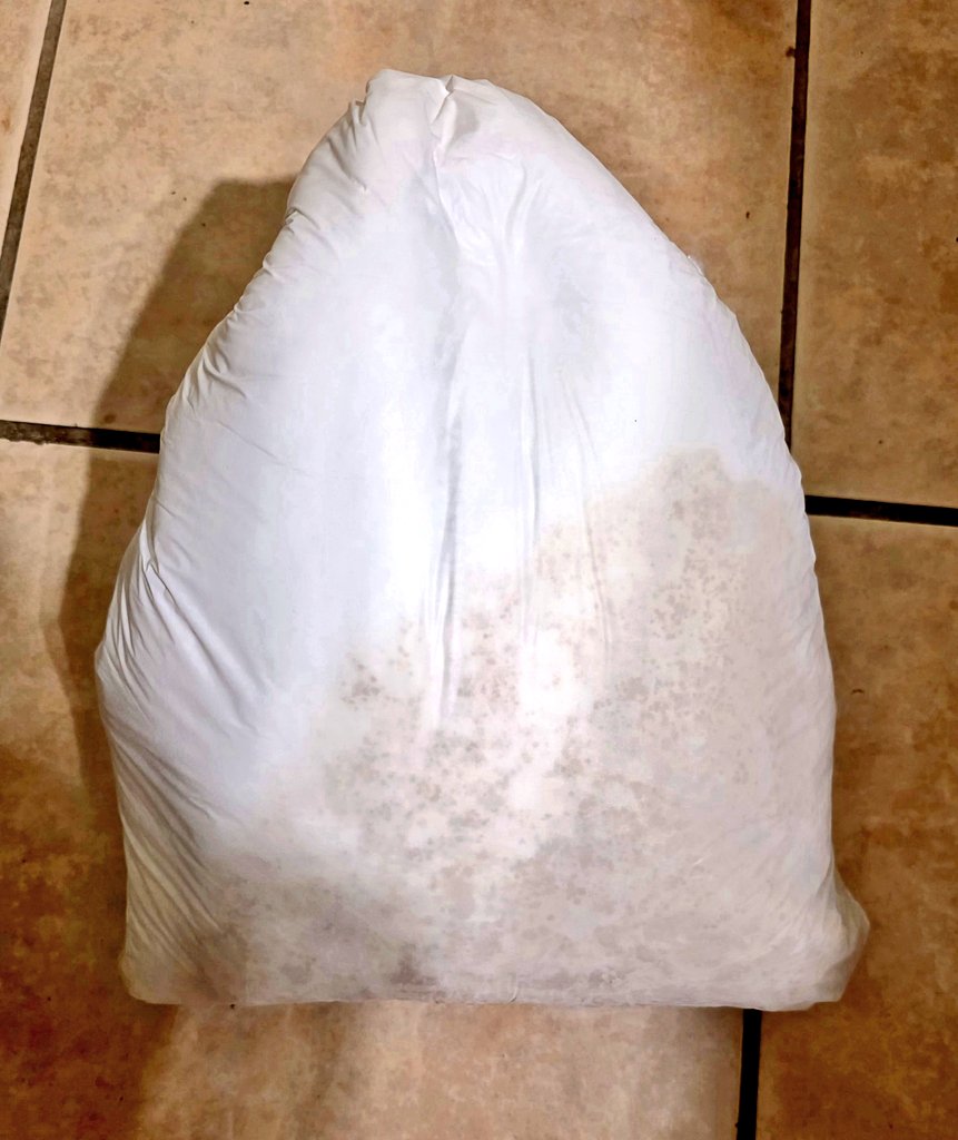 ABDL7210's tweet photo. My diaper was already messy on Friday and I decided not to change. During the night i had to potty more and today my diaper was really full. Happy Messy Saturday. #messydiaper #abdllittle #diaperboy #ABDL #wetdiaper https://t.co/TlFVPWvn88
