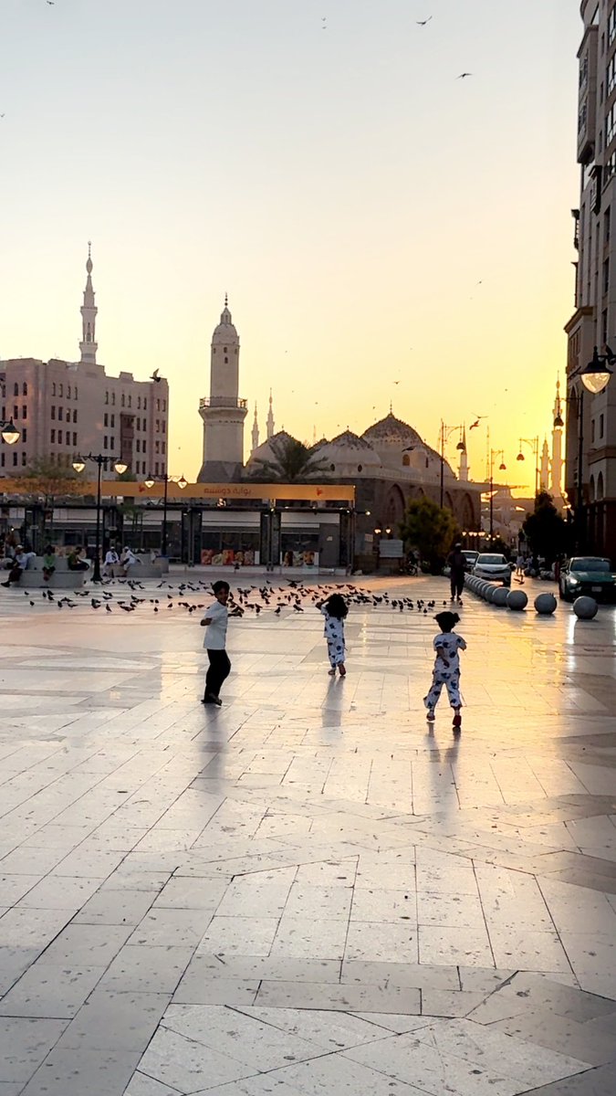 bl__84's tweet photo. يا حمام المدينة إعرني ألفتك للبشر https://t.co/jYIEKp9Q4q