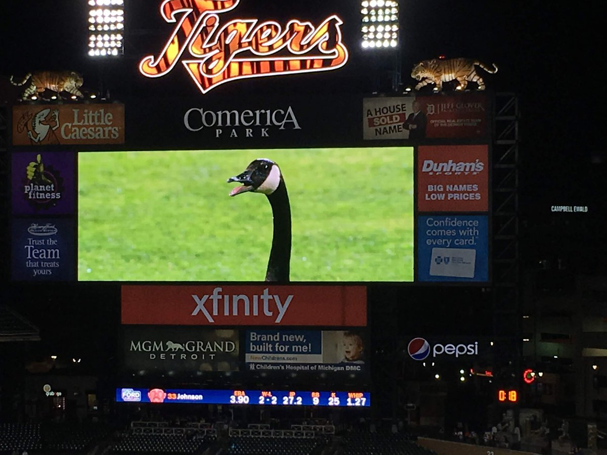 FuncleJay's tweet photo. Today is the 8th anniversary of the “Rally Goose” game, and Ohtani’s first start in Detroit. 

The lineup that day doesn’t look like much, but they’d probably mercy-rule the current team. 

The good old days, when we at least knew they sucked and expectations were low. 

#dnmw https://t.co/sYiGywAc72