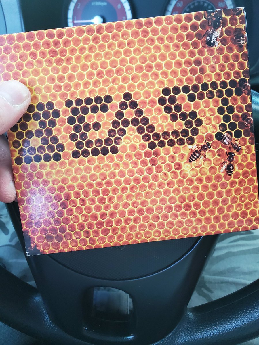 CaptainTCx's tweet photo. I pulled this CD as a random from a thrift shop, it's almost 20 years old and contains a myspace/beastsounds plug on the back. IDK who JP Goncalves/B.Bonifassi and S.Wilcox are but I hope they're still making music because this album is awesome lol https://t.co/LUDGxGg0KE