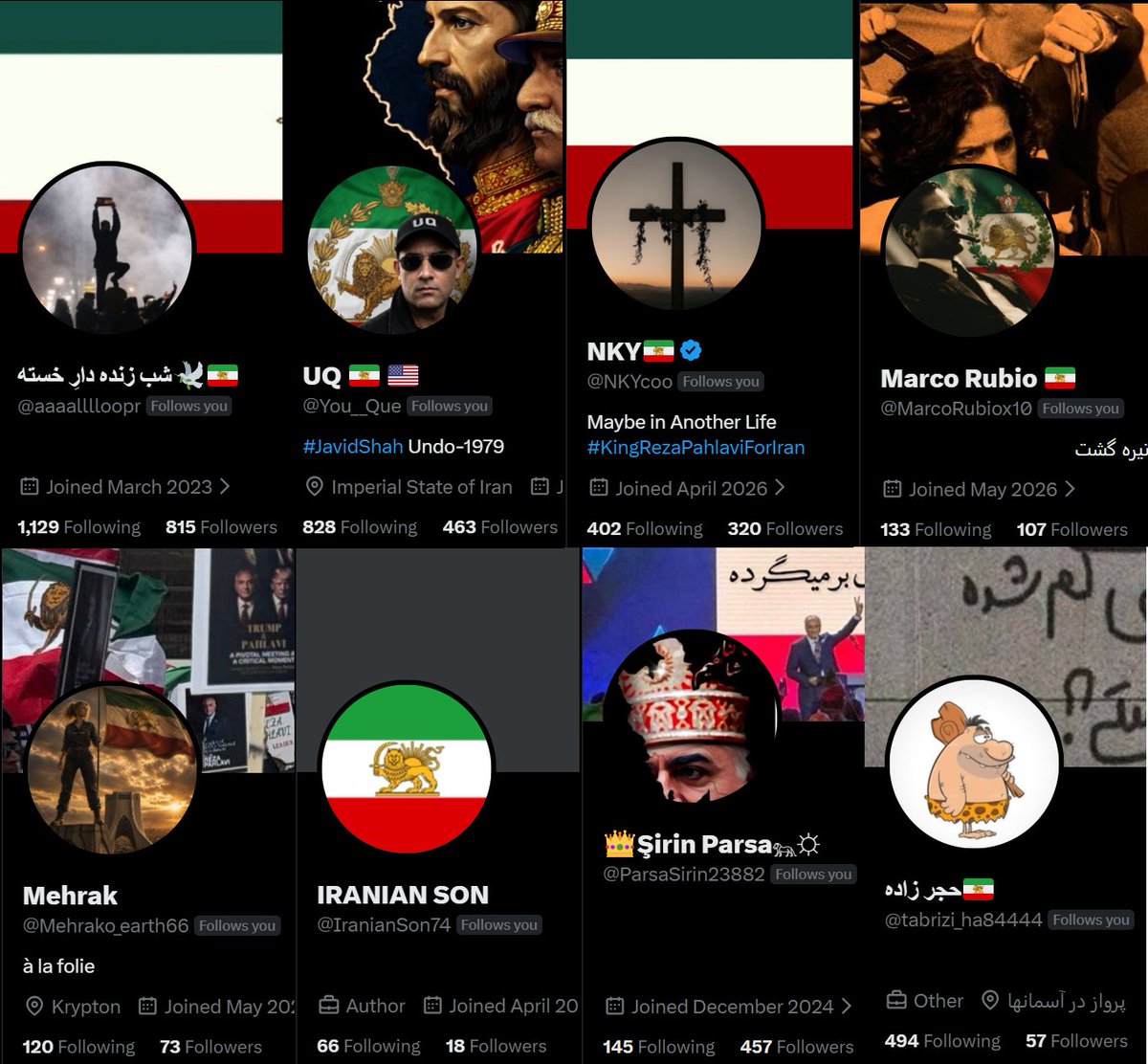 👑 آستین کوتاه tweet media