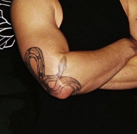 HudsonwilliamMX's tweet photo. Post de apreciación a Hudson Williams y ese tatuaje de serpiente... #HuddleWithHudson https://t.co/7Zlsp2zbms