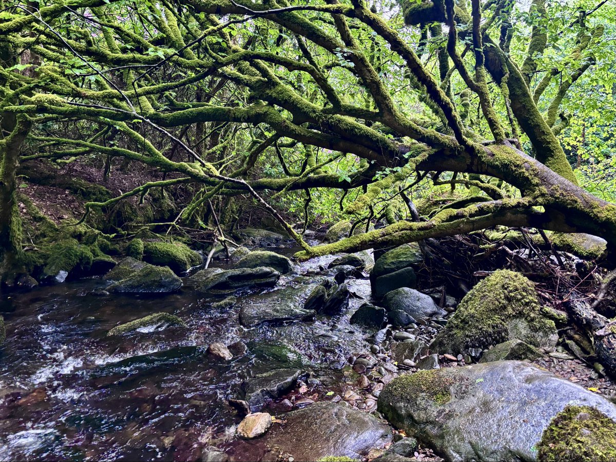 fre3m0's tweet photo. Kerry, Ireland https://t.co/Xp1pw3XPRF