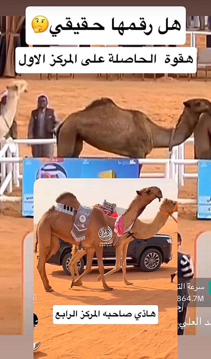 المصطفق tweet media