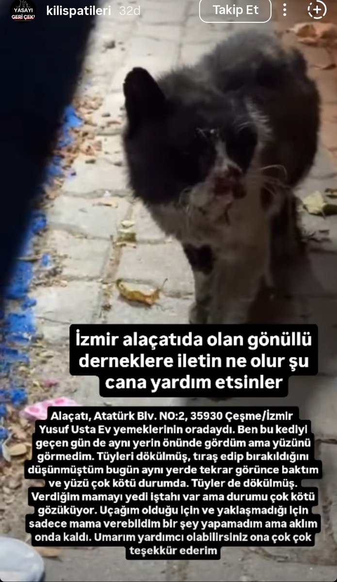 Sibel tweet media