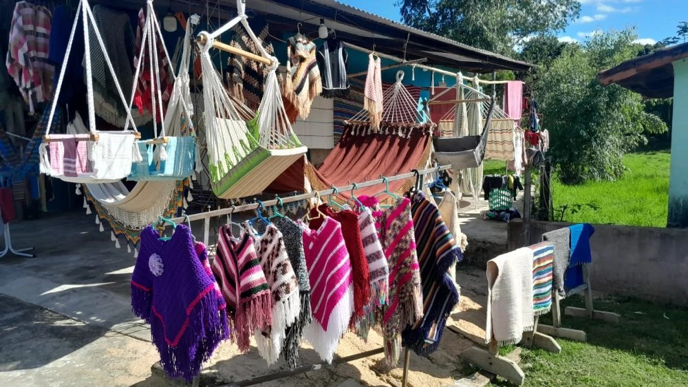 delpynews's tweet photo. ▶️ OVECHA RAGUE CELEBRA 35 AÑOS DE TRADICIÓN | 🧶🇵🇾

San Miguel, Misiones, se prepara para una nueva edición del Festival del Ovecha Rague, Música y Artesanía.

🗓️ La fiesta será del 11 al 14 de junio, con feria artesanal, gastronomía, música, danza y tradición popular.

🧣 Bajo el lema “35 años hilando juntos la cultura de un pueblo”, el festival rendirá homenaje a las maestras artesanas y al legado de la lana.

🗣️ “No vamos a permitir que se pierda este conocimiento que es nuestra identidad”, expresó la intendenta Elvina González.

🎶 La agenda incluirá Serenata Misionera, desfile de alta costura en lana, elección de reinas y shows musicales.

🐎 El cierre será con fiesta campera, destrezas ecuestres y platos típicos regionales.

📄Última Hora (Web)