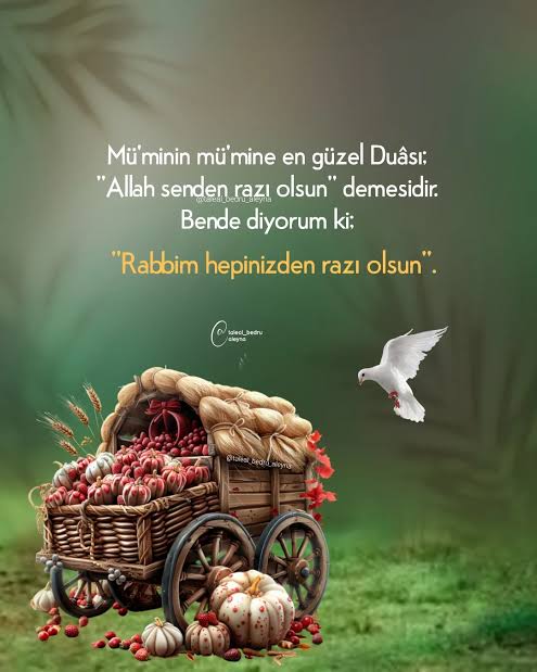 Kevser Onaylı tweet media