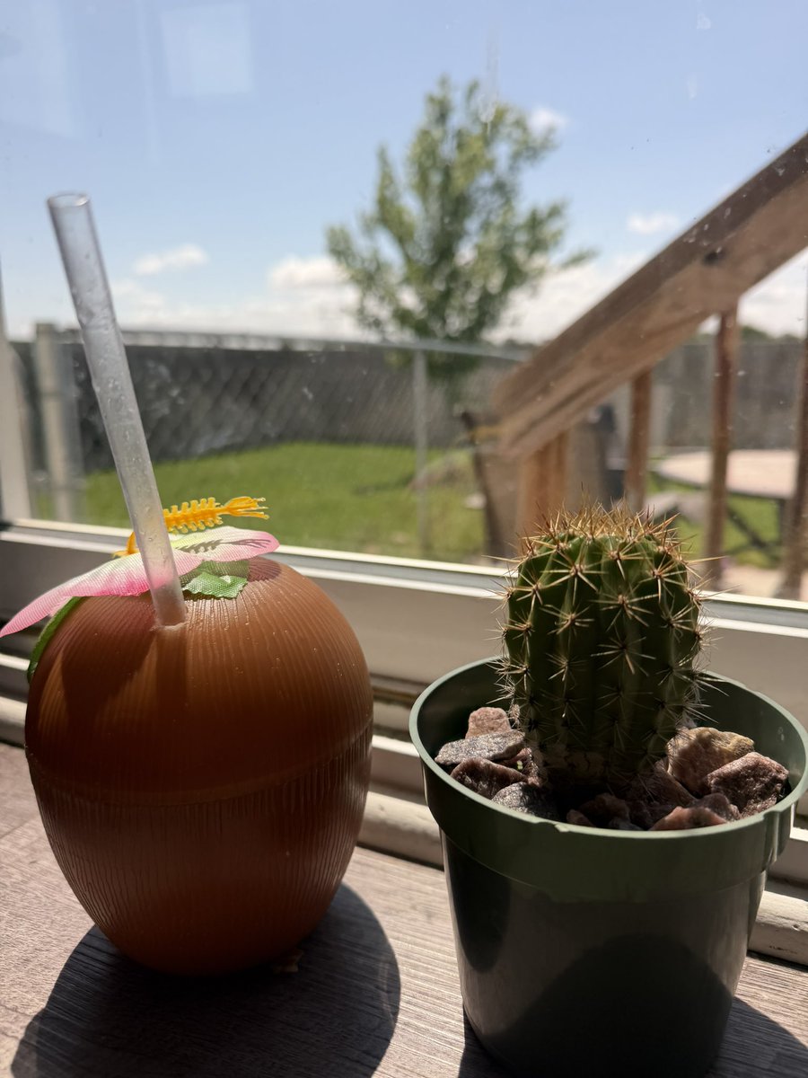 Aghony_'s tweet photo. Piña Colada and splashes 💦 https://t.co/K8EsYDzWRS