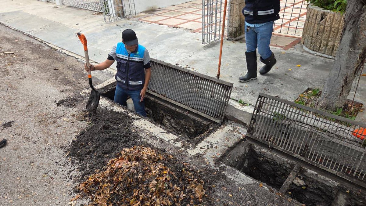 CeciliaPatronL's tweet photo. 🌧️ Seguimos atendiendo la ciudad.

Recorrimos colonias como Santa Rosa, La Libertad y Mulsay para estar cerca de las familias y atender de primera mano sus necesidades. Al mismo tiempo, las distintas direcciones del Ayuntamiento continúan trabajando en diversos puntos de Mérida con limpieza de rejillas, desazolve y atención a reportes.

🏘️ Sabemos que estos días de lluvia requieren atención y trabajo constante, por eso seguimos en las calles cuidando de las familias meridanas.

🤝 Mérida es tuya, cuídala. Mantener limpias nuestras calles y rejillas ayuda a que el agua fluya mejor y contribuye al cuidado de la ciudad entre todas y todos.

#MéridaContigoEsMejor