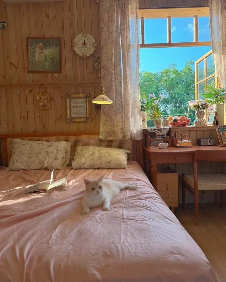 purelivn's tweet photo. cozy life https://t.co/57EUEksnzc