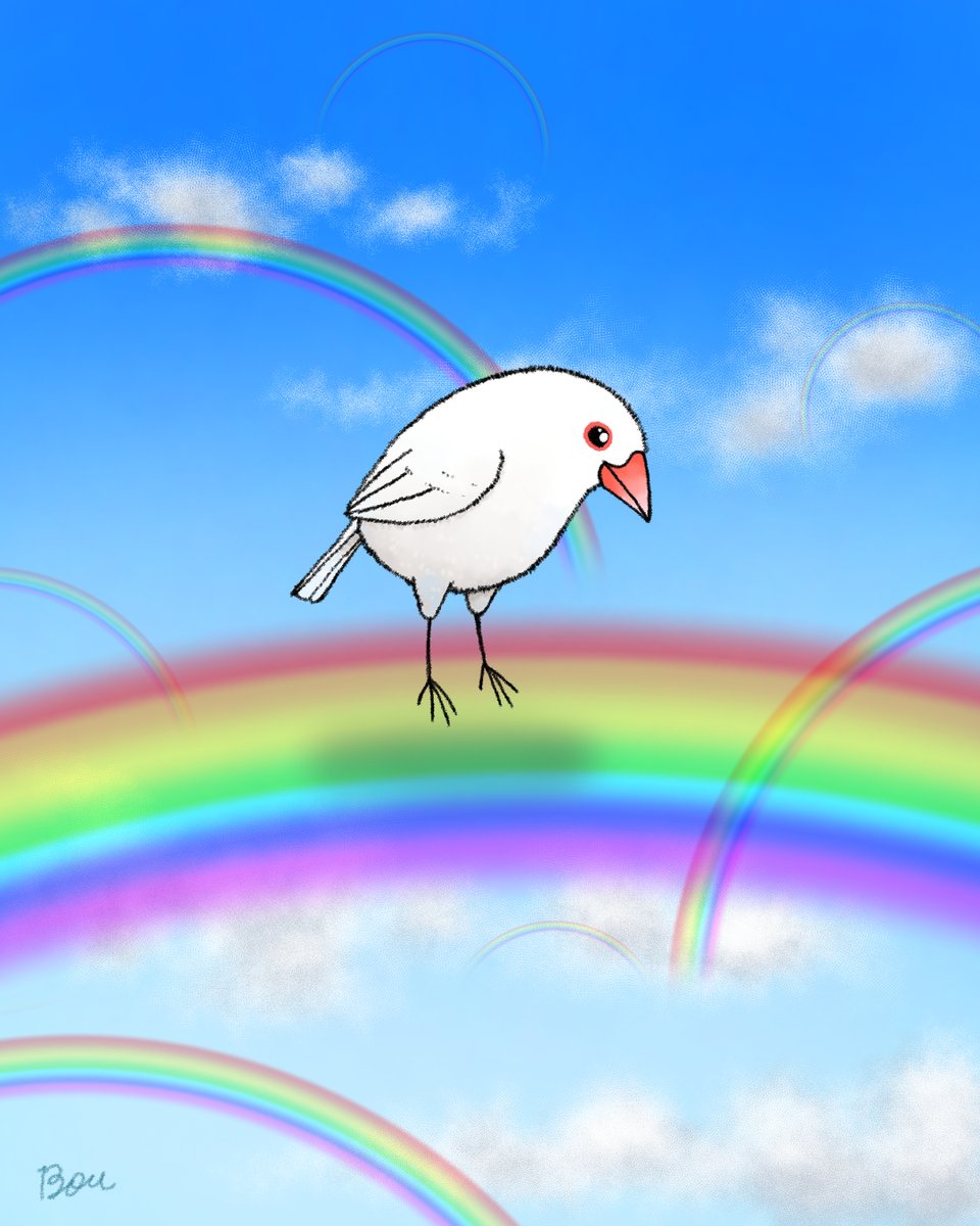 Bou_toriartclub's tweet photo. 離れていても、大好きのダンスは欠かさない🐥💞
#虹の橋待合所 #虹の橋 #rainbowbridge #文鳥 https://t.co/MpEm1tiuHw