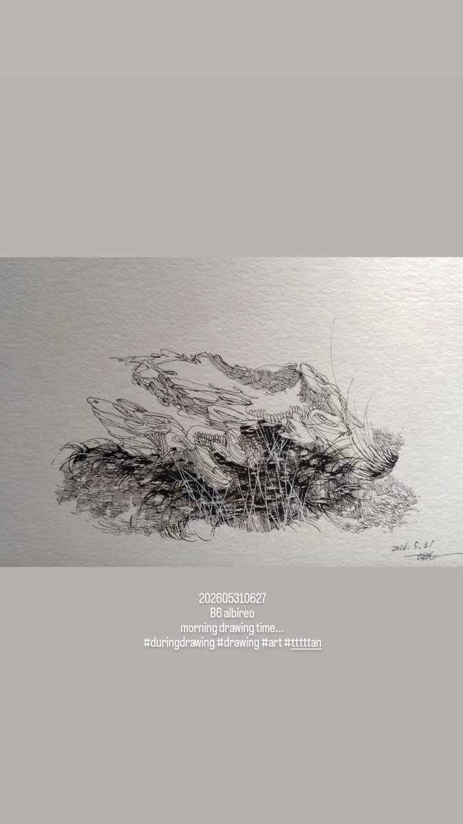 tttttan's tweet photo. 202605310627
B6 albireo
morning drawing time...
#duringdrawing #drawing #art #tttttan https://t.co/0wBNnuREA2