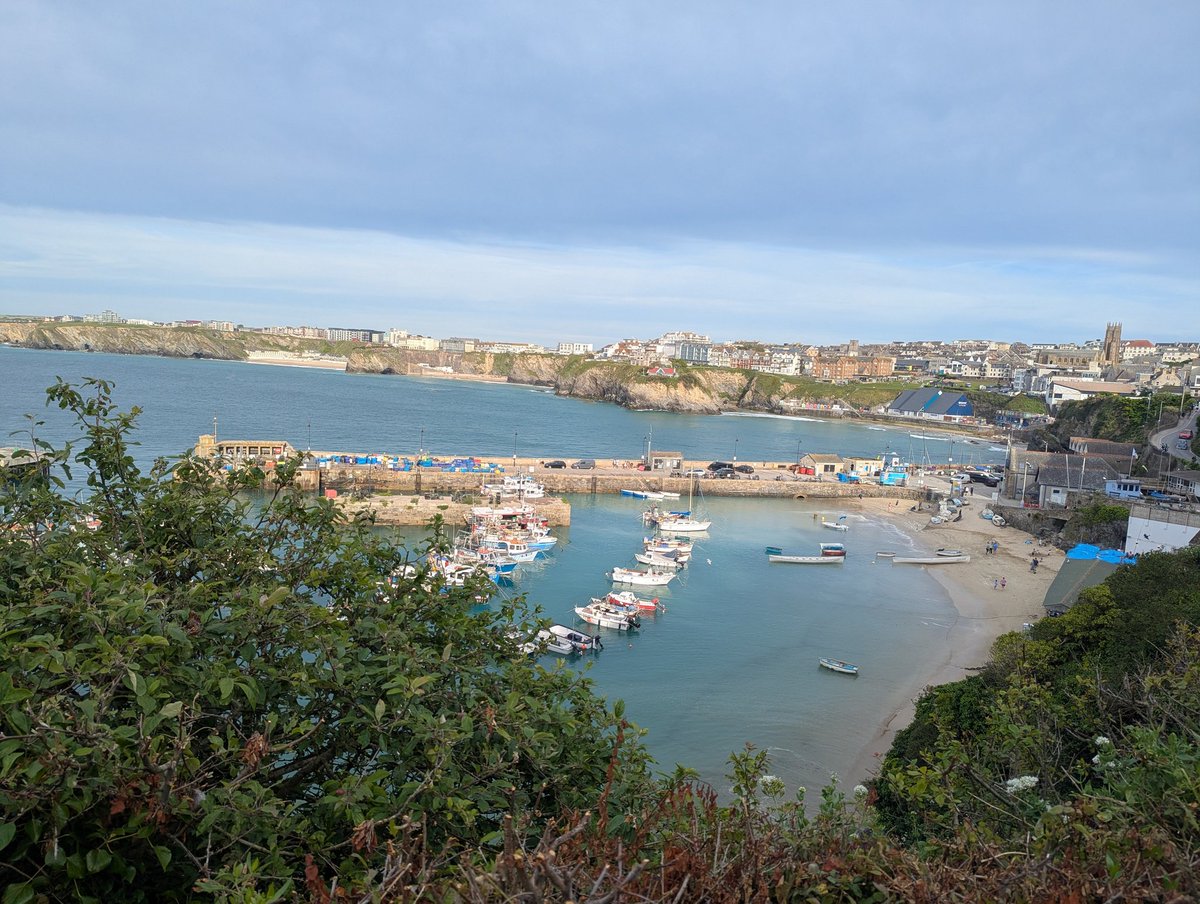 ReindeerPate's tweet photo. Newquay harbour looking great today. https://t.co/ETrRMRLzE2
