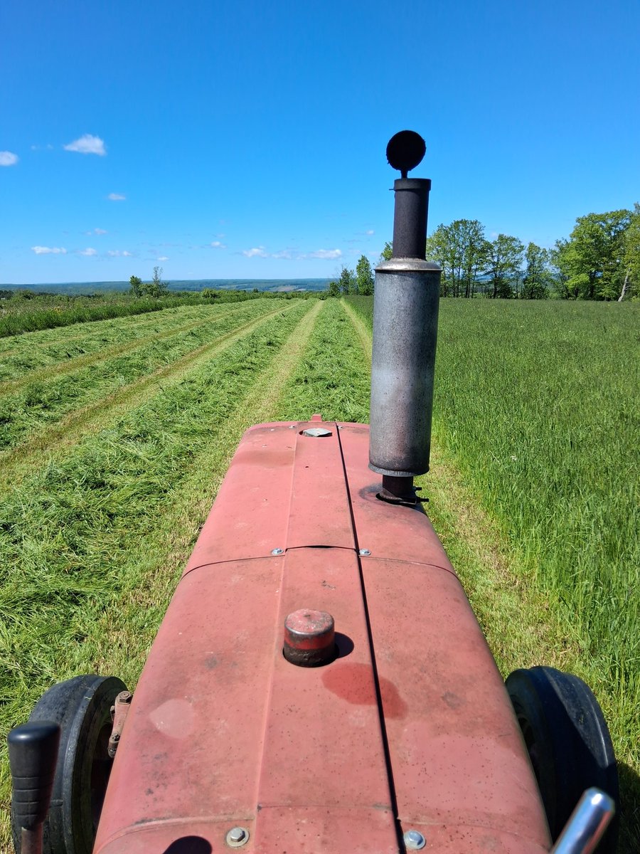 NWPA Dairyman tweet media