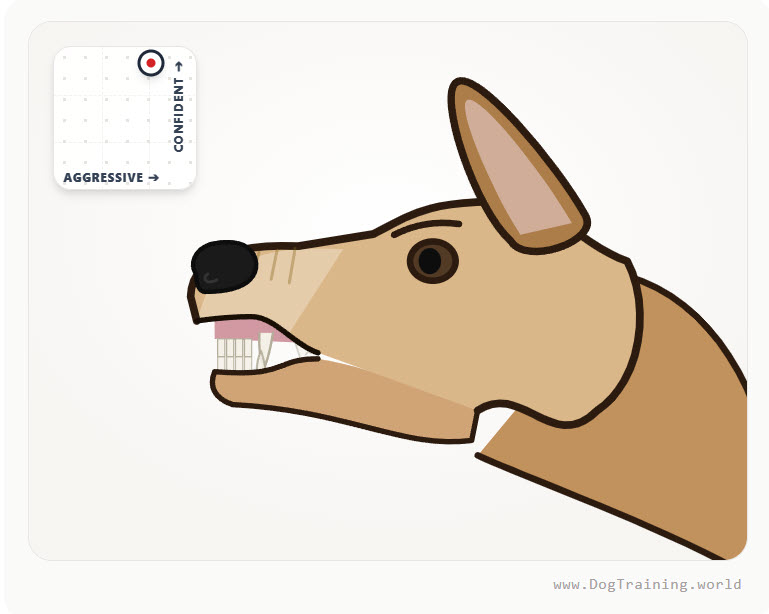 k91dogtraining's tweet photo. Confidence vs Defensive Aggression Interactive Chart 

The more confident a dog is, the more their facial features pull forward. The less confident they are, the more their features pull back. This model is especially helpful for evaluating dogs that are exhibiting defense based aggression. Use the slider to adjust the dog's confidence level against their intensity of aggression. Have fun!

https://t.co/fc3x3PWjN0