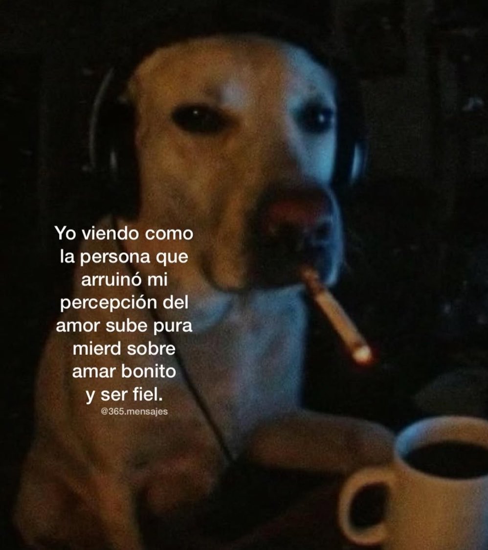 🌙 mini textos tweet media