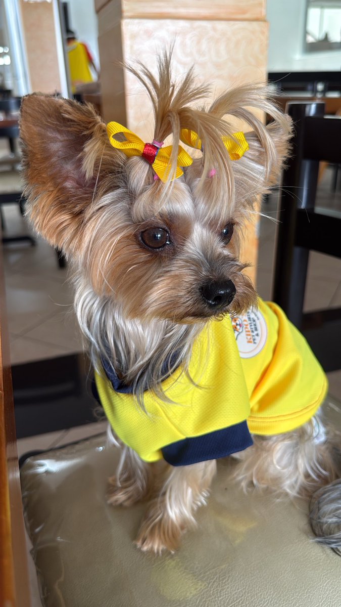 Gerciclar's tweet photo. Ecuador https://t.co/dSXKtyrD3T