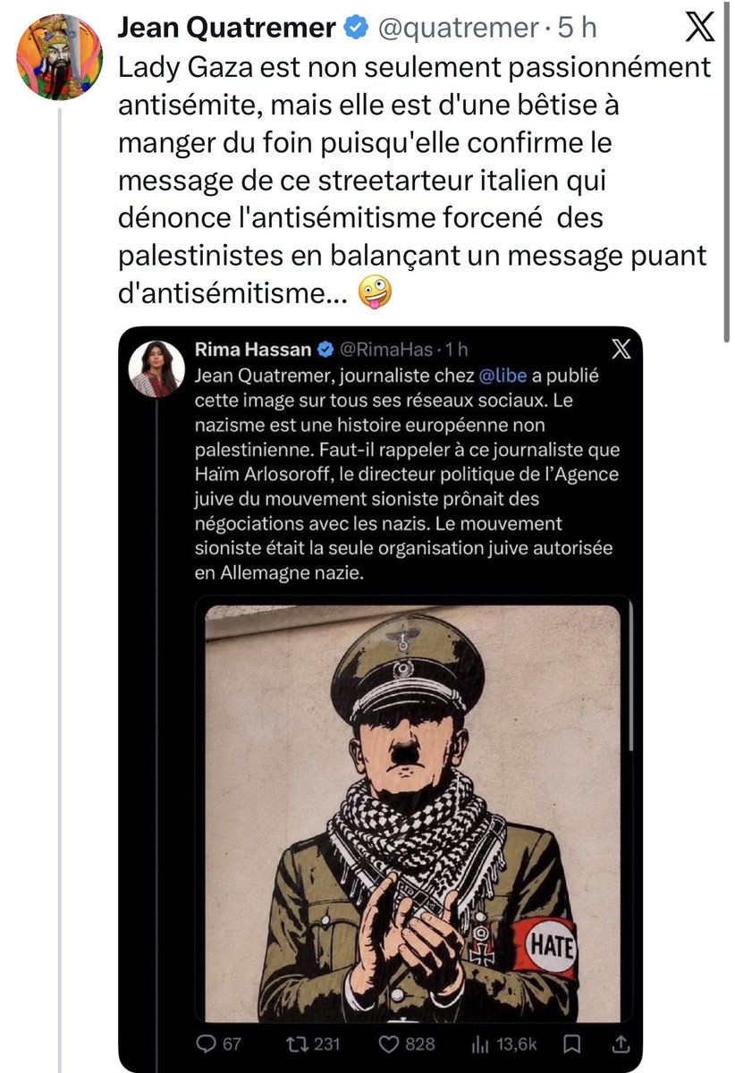Rima Hassan tweet media